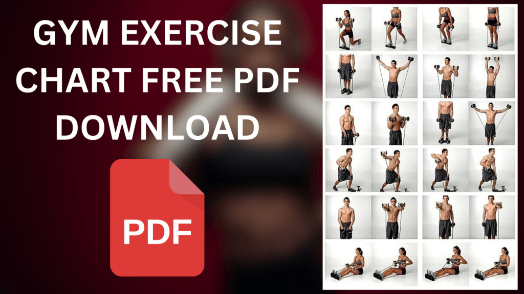 Gym Exercise Chart Free PDF