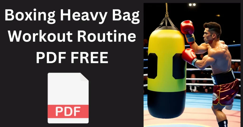 Boxing Heavy Bag Workout Routine PDF