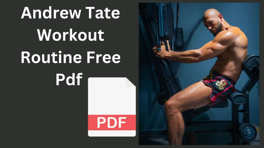Andrew Tate Workout Routine Free Pdf